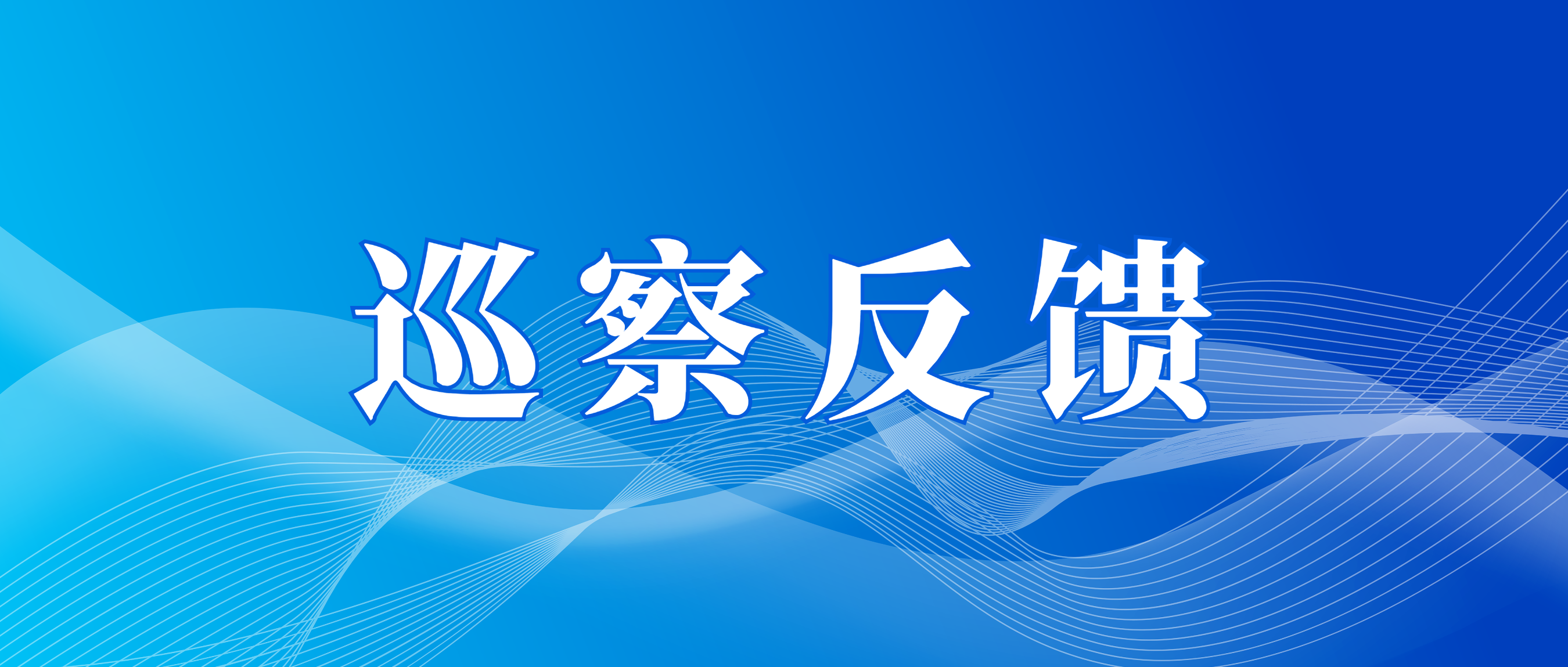 市国资委党委第三巡察组向广州龙8国际资本党总支反馈巡察情况